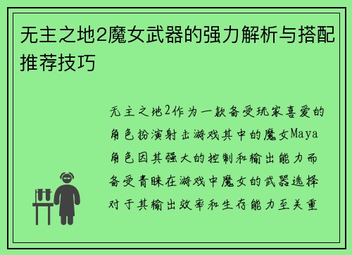 无主之地2魔女武器的强力解析与搭配推荐技巧